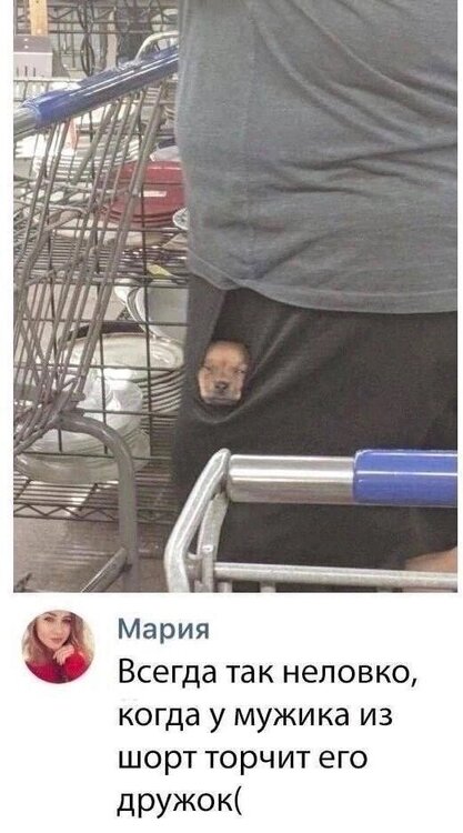 s3ayznNYUqfEBUdKNyXOYMVPYjhAQnRT1wqssnlTPyfaeuCmAlCFdh2k1HLed7AGmLXtwCDKJ_6e1avKoHY0q0KF.jpg